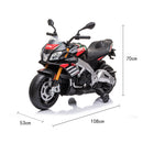 Moto Elétrica Infantil 1100 RR 12V